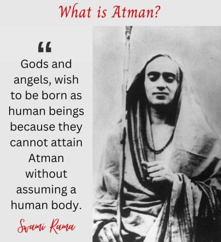 ,                              ,    ,