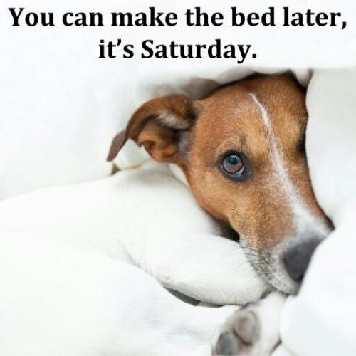 cd989e05901060f906658378fd75716c