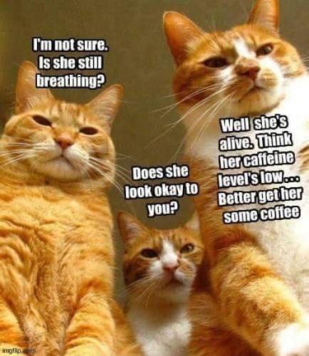 a76b181bf753687e8e1bc10eaa39f1d3