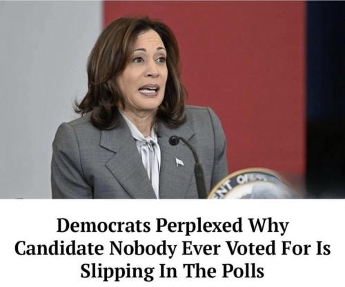 image_EF82D04A-7990-46E3-989F-076FF68BD0C9