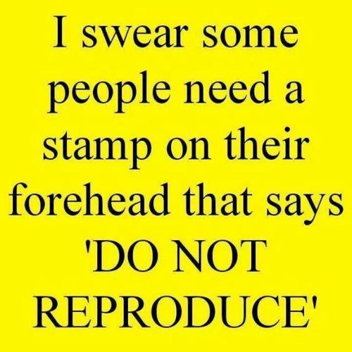 806812b3855302d013d182c245df1ef9