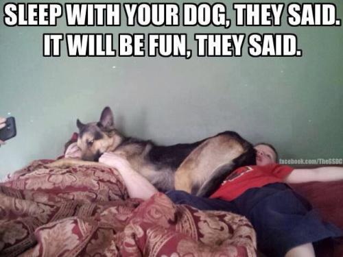 843b01237b742dcf0f2990b28c5f3c0a