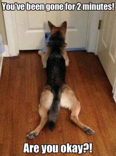 40dfd8b757f51daac16c58b18d9b7924