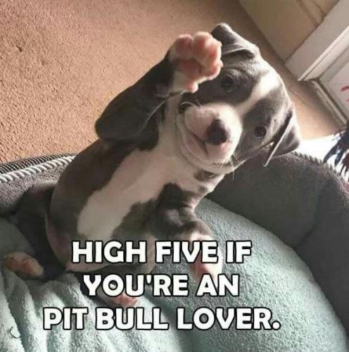 fe37f0726b0bec17f6ccf55b29d14160