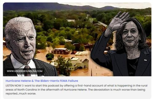 Hurricane Helene Biden failure screenshot