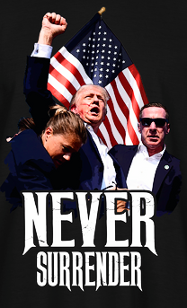 Never_Surrender_-_Front~3
