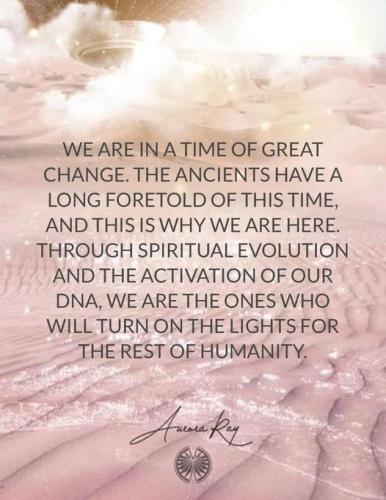 ,                              ,    ,