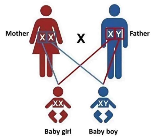 FB_IMG_1729634799535