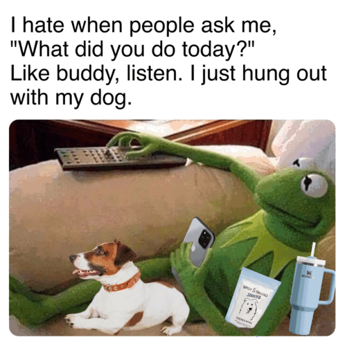 ask-did-do-today-like-buddy-listen-just-hung-out-with-my-dog-spottango-smacks-chicken-bites-stanl