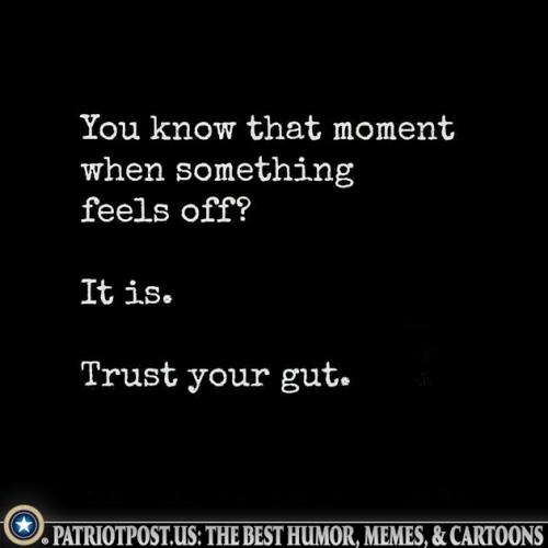 01J9QP6N17B9D3H0EXN5RK6RYP