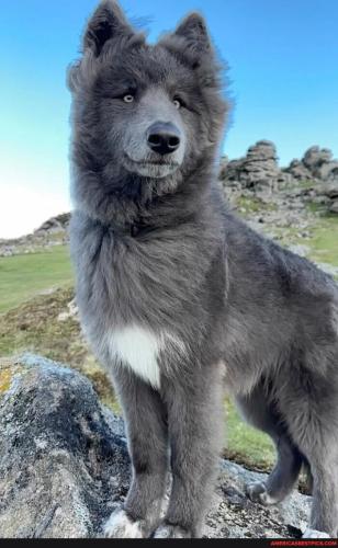 3f410e37094bb69a55494e5291d796c7e0e97850f3222da628521be856d96930_1