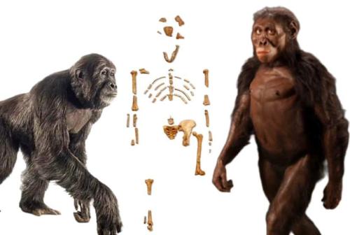 FB_IMG_1730148315352