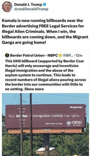 photo_2024-10-29_20-36-44