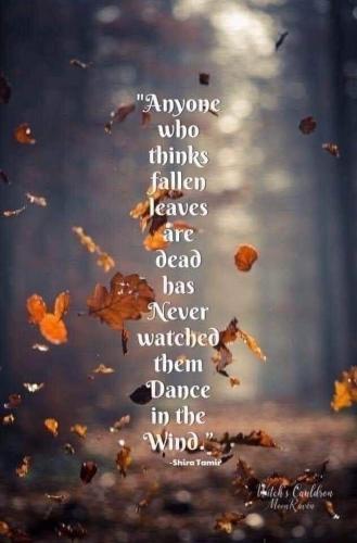 IMG_20241028_163706_882