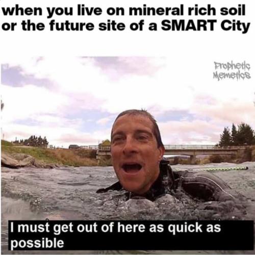 photo_2024-10-10_20-06-38