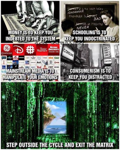 IMG_20241012_084232_386