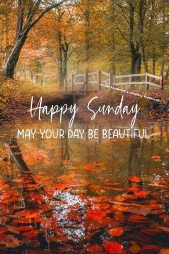 fall morning sunday 1