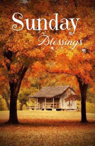 fall morning sunday 2