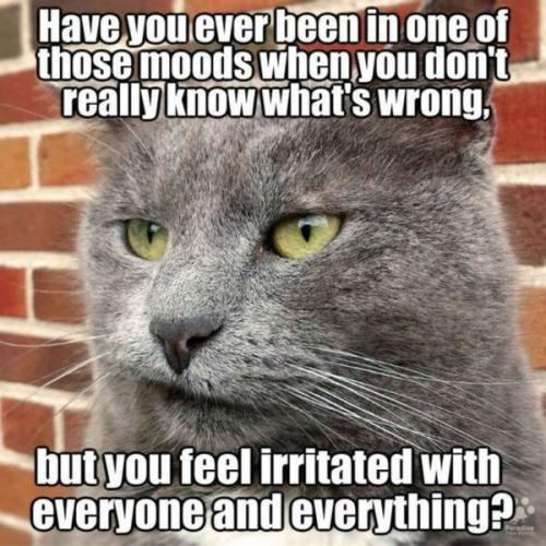 4e0d05b948b4696283991c800731004d