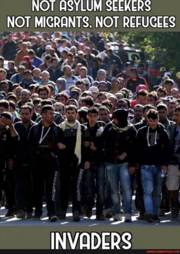 899e16ec753b14a10d06c98d6c0b4b6c9ed2a32d6448fba888a4711639b4d65e_1