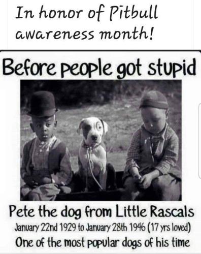 309275a625d46ec4276ac9064e436b03