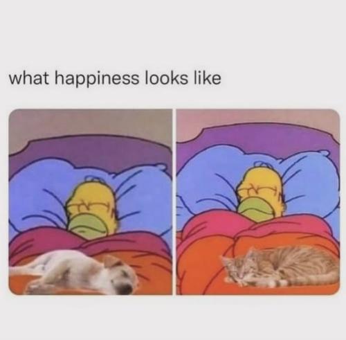 happiness-looks-like