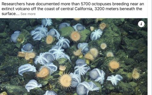 2F8E366D-FF71-424A-A5D8-A0086AC63CC2