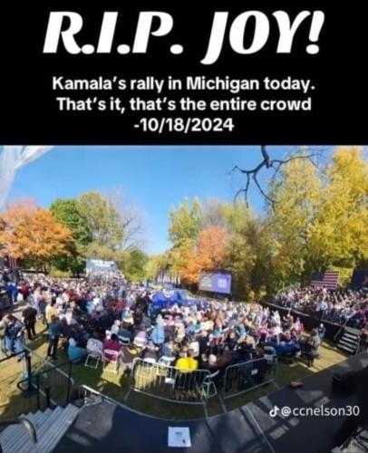 Screenshot_20241020-203400_Wimkin Free Speech Social Media