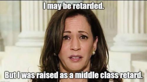 image_515A9E8A-A543-4B83-BF7A-9AE35AFC7593