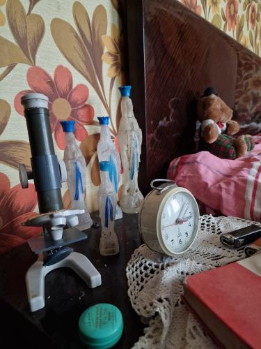 Abandoned House in Northern France 13