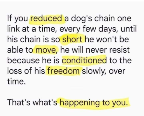 image_2024-10-05_101301702