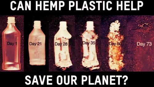 hemp plastic