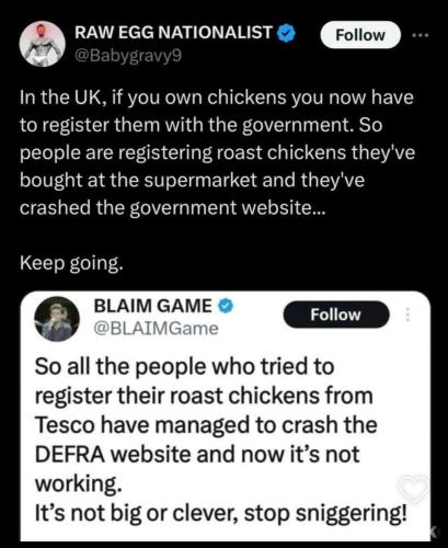 photo_2024-10-11_19-31-50