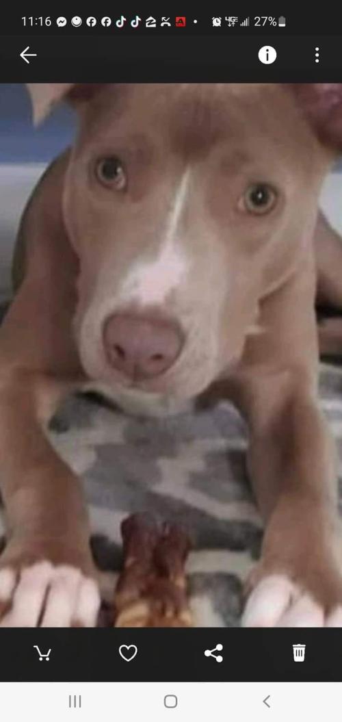 FB_IMG_1728907019288