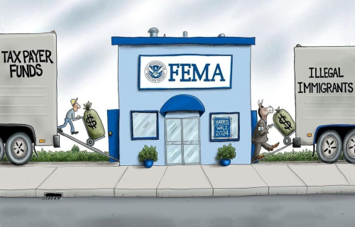 image_2024-10-08_062744405