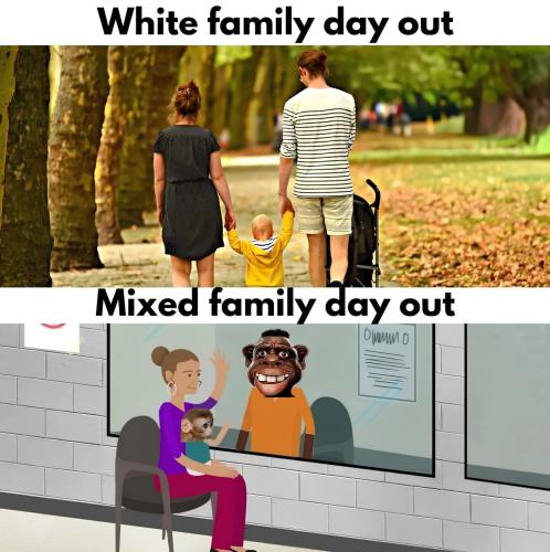 IMG_20241021_050011_707