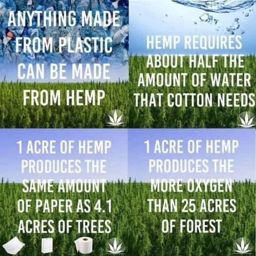 36F5A721-4B1E-402D-A006-C67E7508F3A3