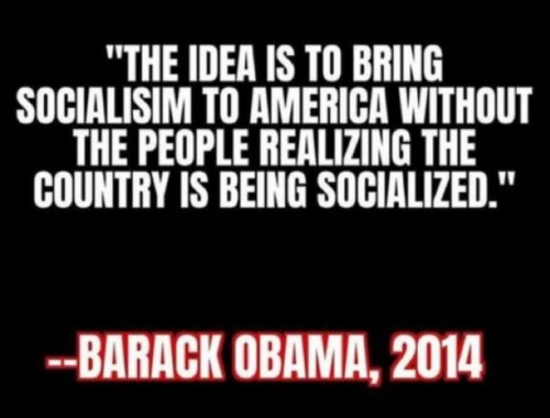 socialism obama wim