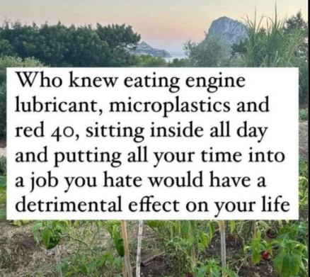 Screenshot 2024-10-25 170951