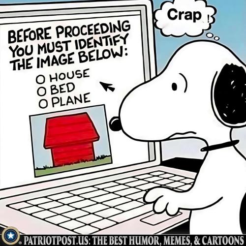 01J9C5E2HRGX0BSC4K18E3R9QY