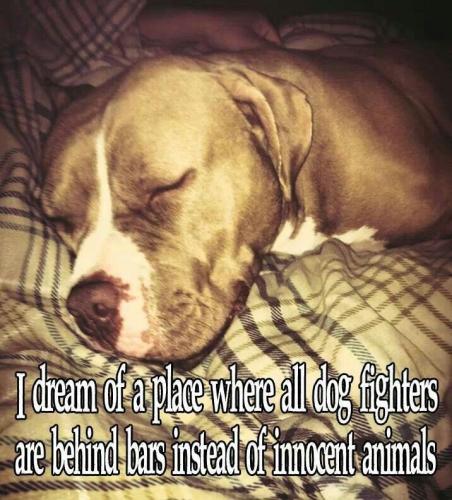 19aec12a84aab7103ad52d1a85a9ede0