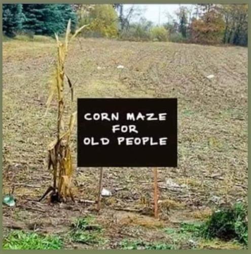 8c19fc8d-7d24-4822-9058-b7c3b8d7d6d8