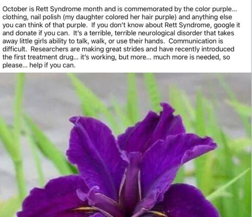 E61DBE8C-BEC1-41DC-A7C5-3DE39E651142