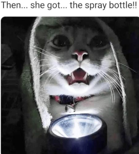 image_E2560455-4EF4-4895-A9EB-0EBC33688534