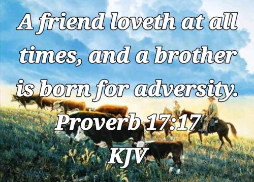 bd4db7d3-a281-4592-ad13-1fad03081172