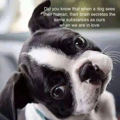 2FD40642-D6F0-44DD-9CD2-C1DB3CCAA401