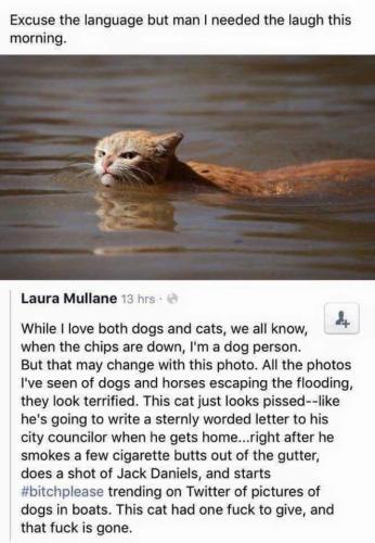 IMG_20240930_203746_071