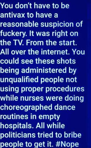 IMG_20241007_202652_133