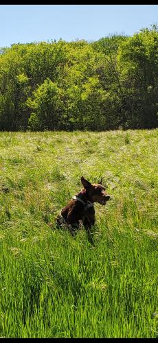 Screenshot_20240826_134127_Gallery