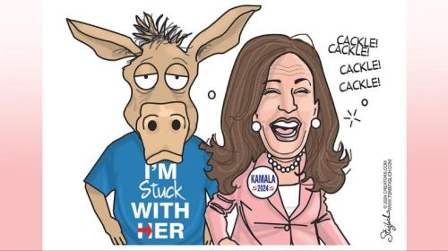 132dff87-8b7c-4be1-abcd-0b3c38496043